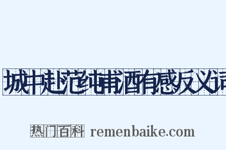 城中赴范纯甫酒有感反义词是什么意思的图片
